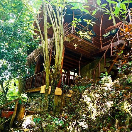 Jungle Face Inn Ella Luaran gambar