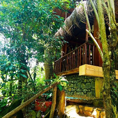 Jungle Face Inn Ella Luaran gambar
