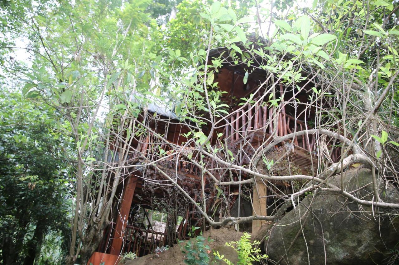 Jungle Face Inn Ella Luaran gambar