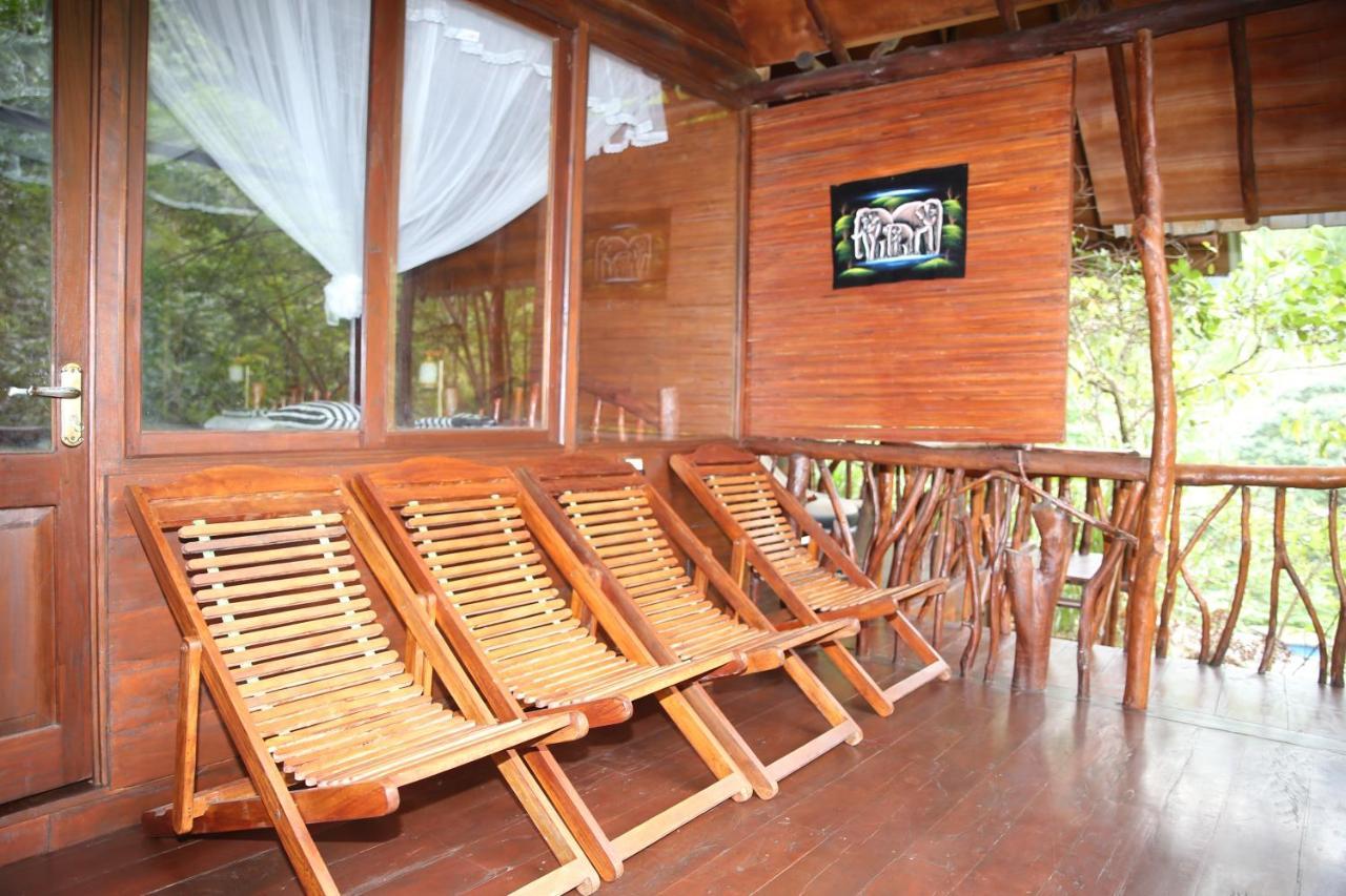 Jungle Face Inn Ella Luaran gambar