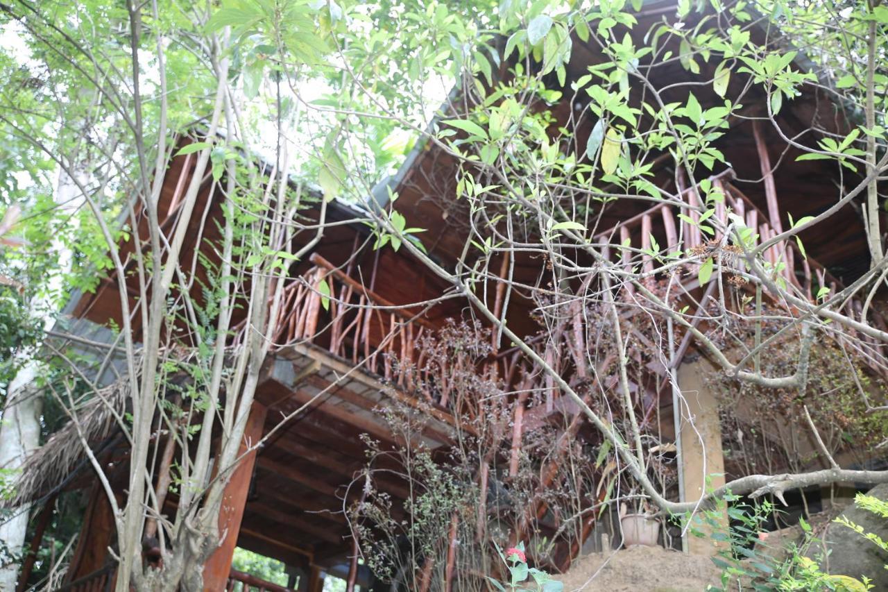 Jungle Face Inn Ella Luaran gambar