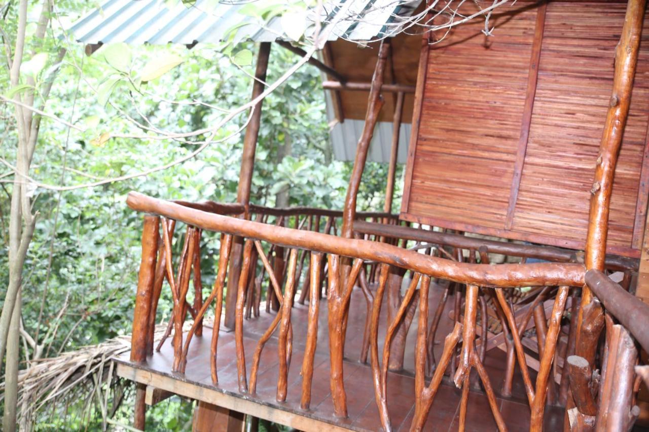Jungle Face Inn Ella Luaran gambar