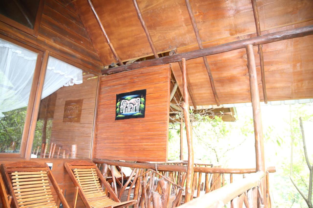 Jungle Face Inn Ella Luaran gambar