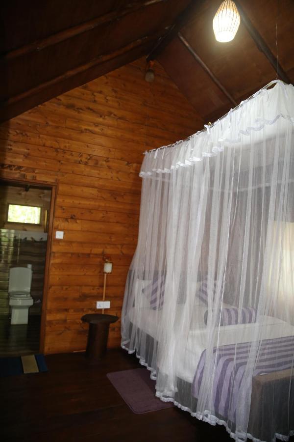 Jungle Face Inn Ella Luaran gambar