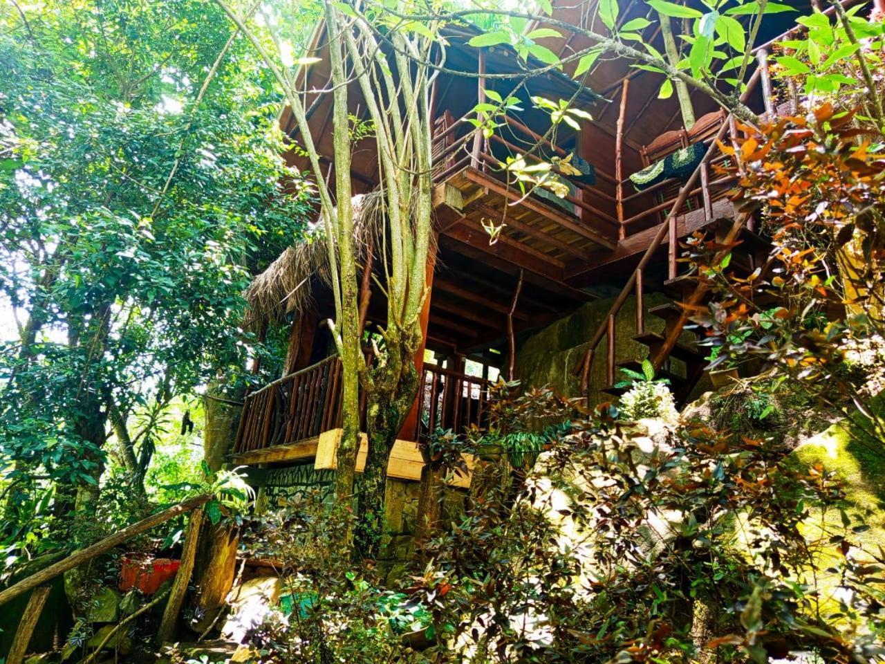 Jungle Face Inn Ella Luaran gambar