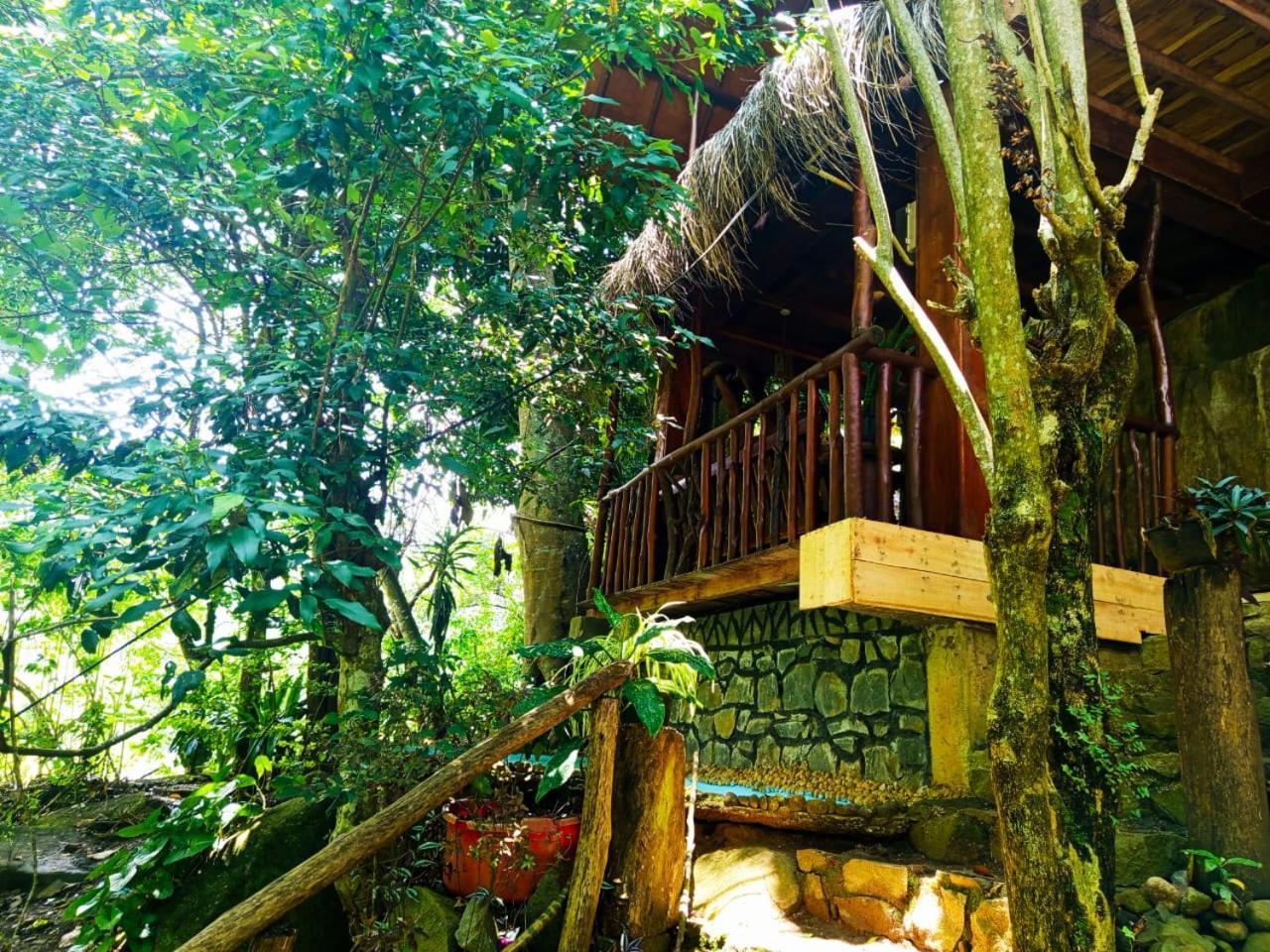Jungle Face Inn Ella Luaran gambar