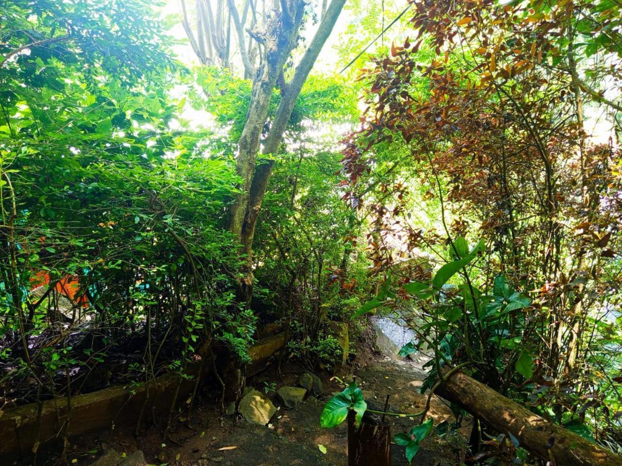 Jungle Face Inn Ella Luaran gambar