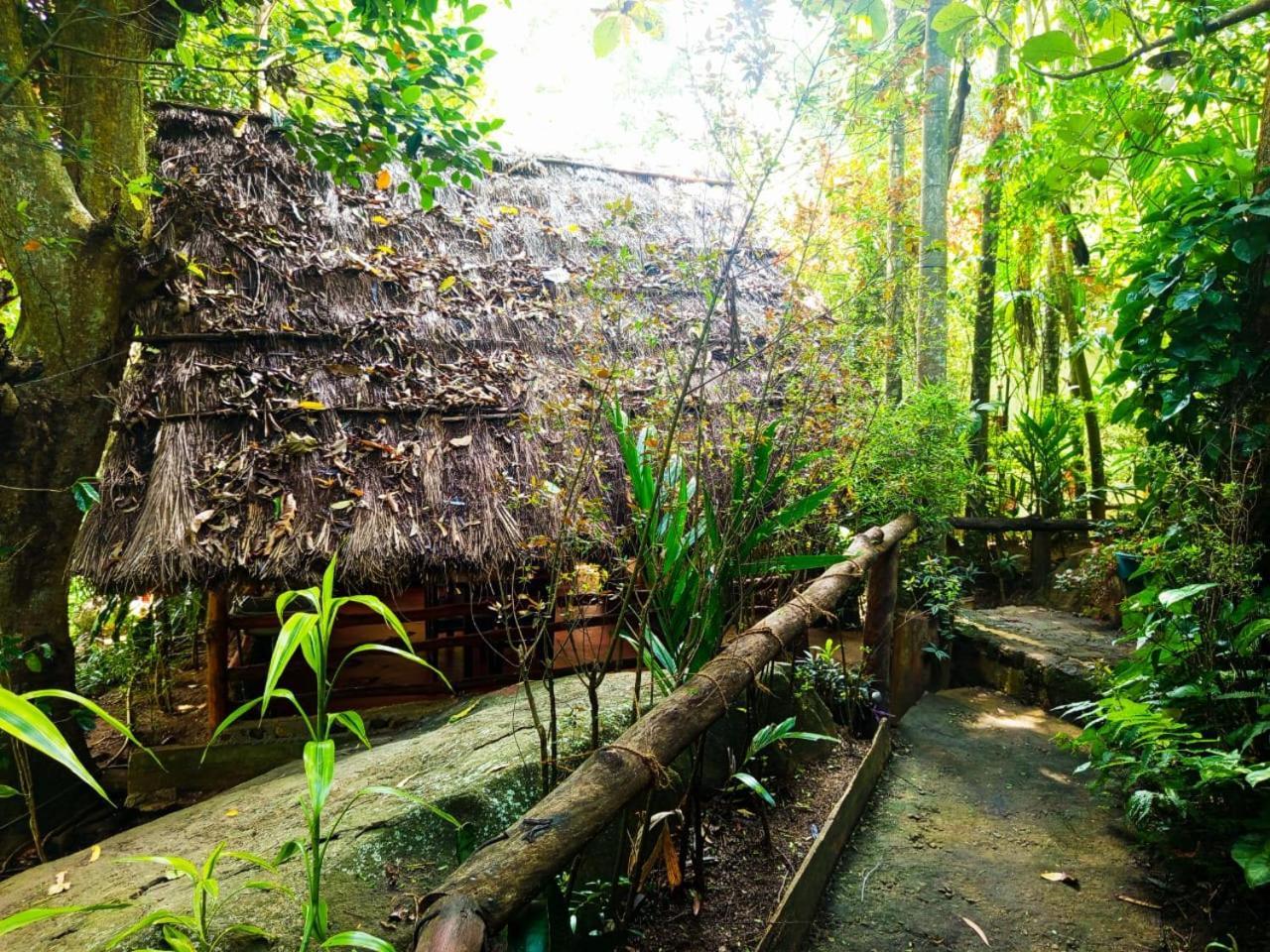 Jungle Face Inn Ella Luaran gambar
