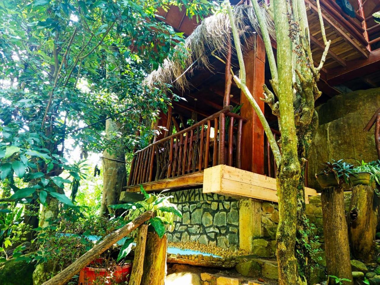 Jungle Face Inn Ella Luaran gambar