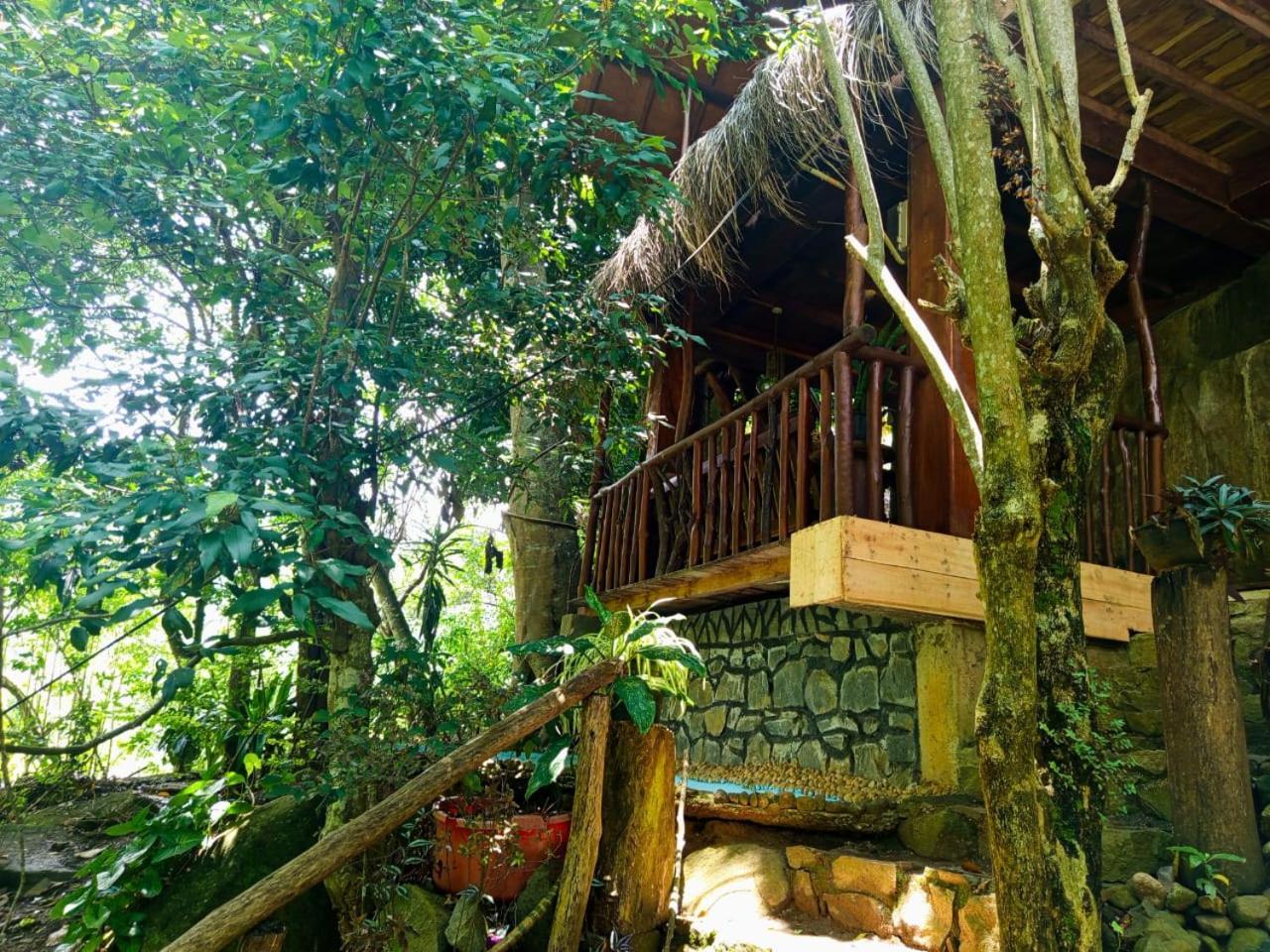 Jungle Face Inn Ella Luaran gambar
