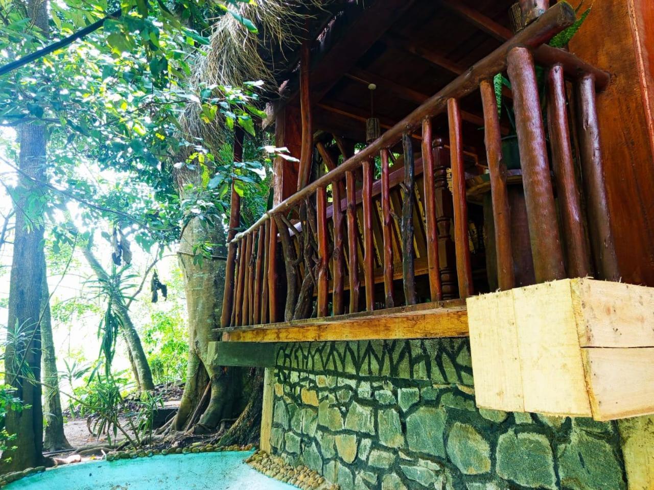 Jungle Face Inn Ella Luaran gambar