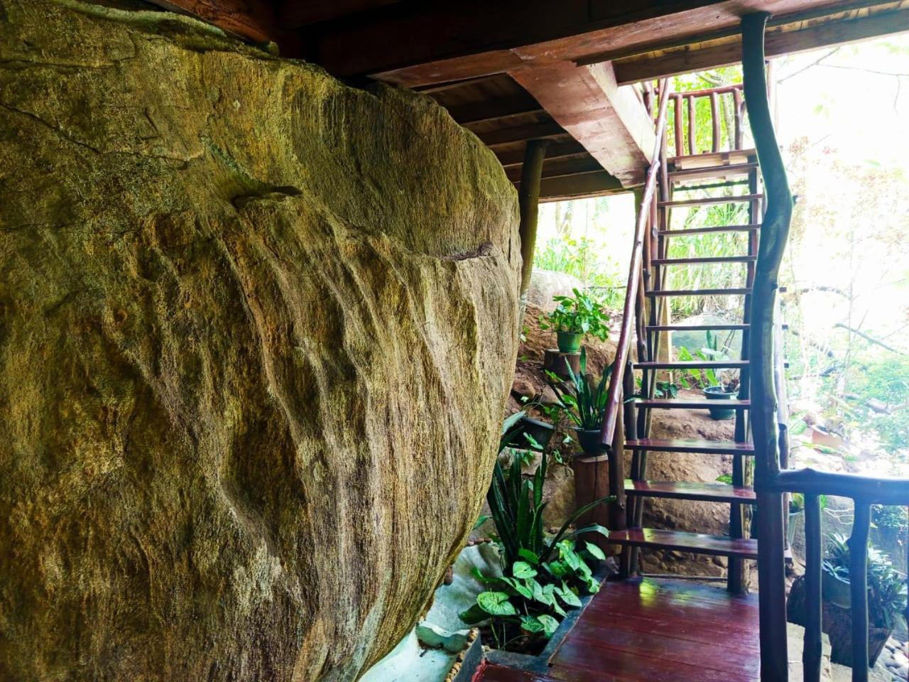 Jungle Face Inn Ella Luaran gambar