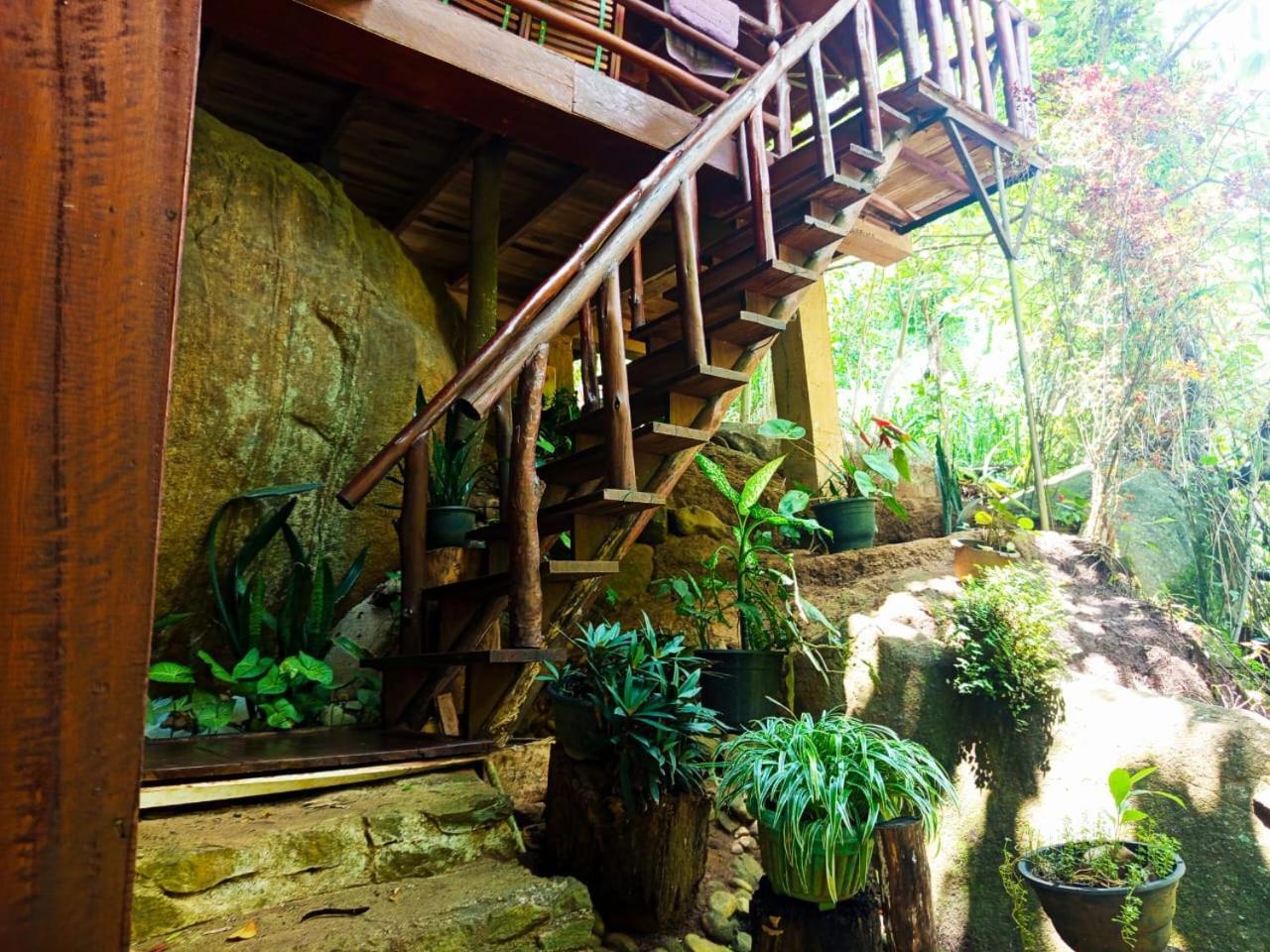 Jungle Face Inn Ella Luaran gambar