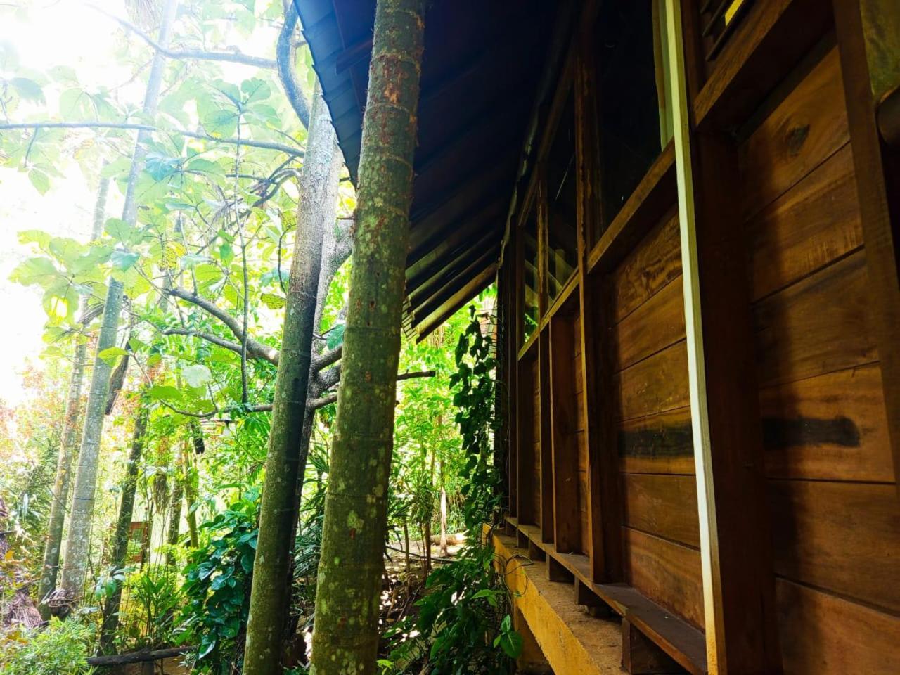 Jungle Face Inn Ella Luaran gambar