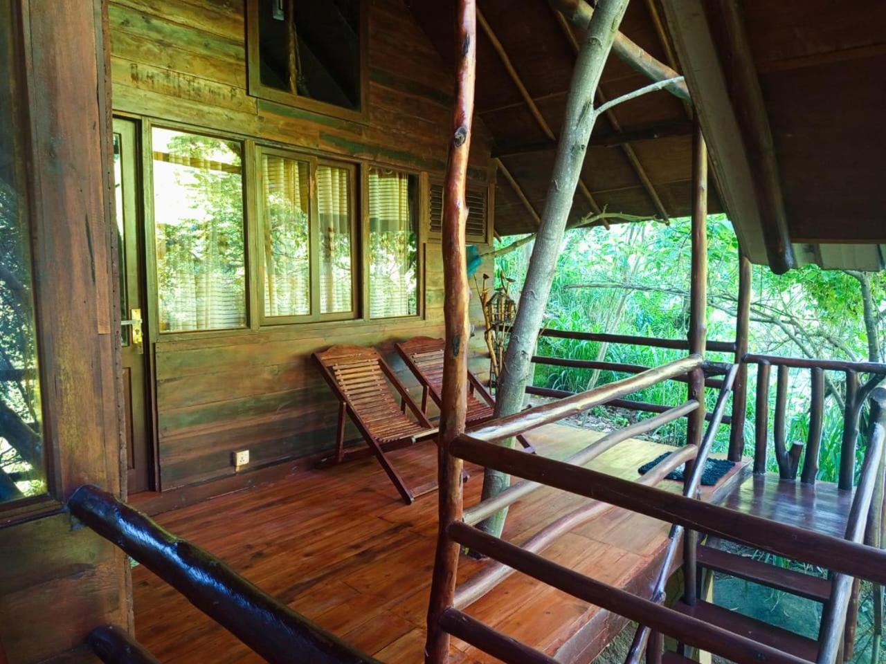 Jungle Face Inn Ella Luaran gambar