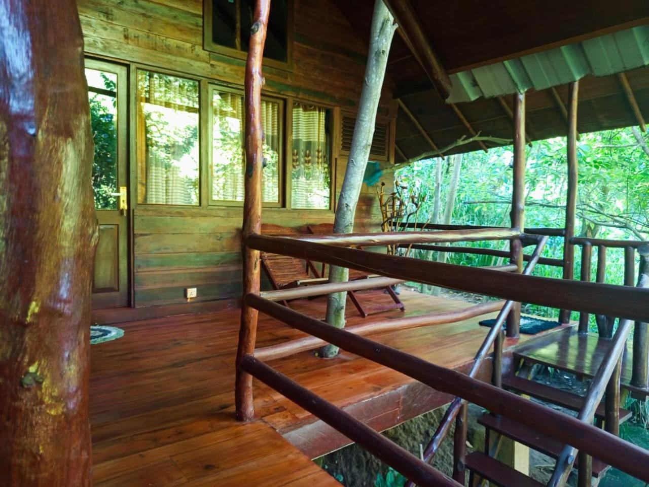 Jungle Face Inn Ella Luaran gambar