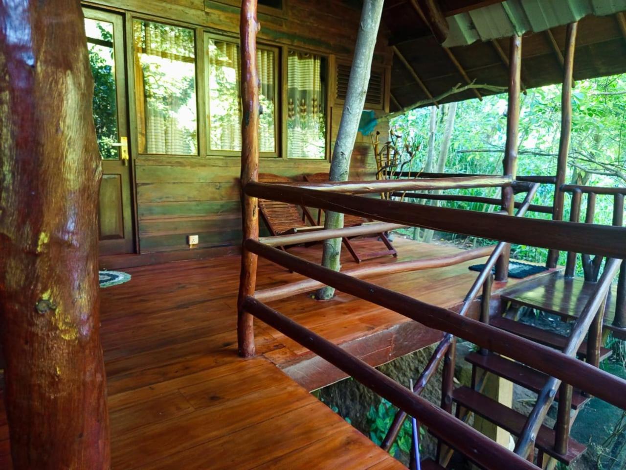 Jungle Face Inn Ella Luaran gambar