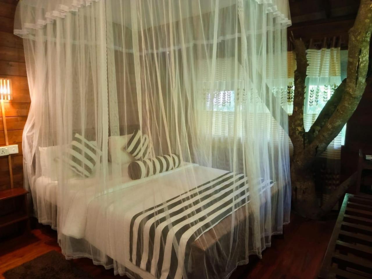 Jungle Face Inn Ella Luaran gambar