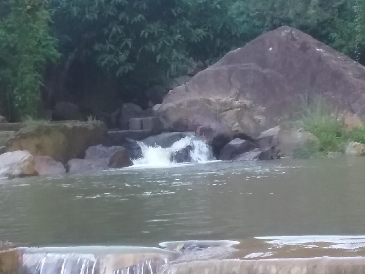 Jungle Face Inn Ella Luaran gambar