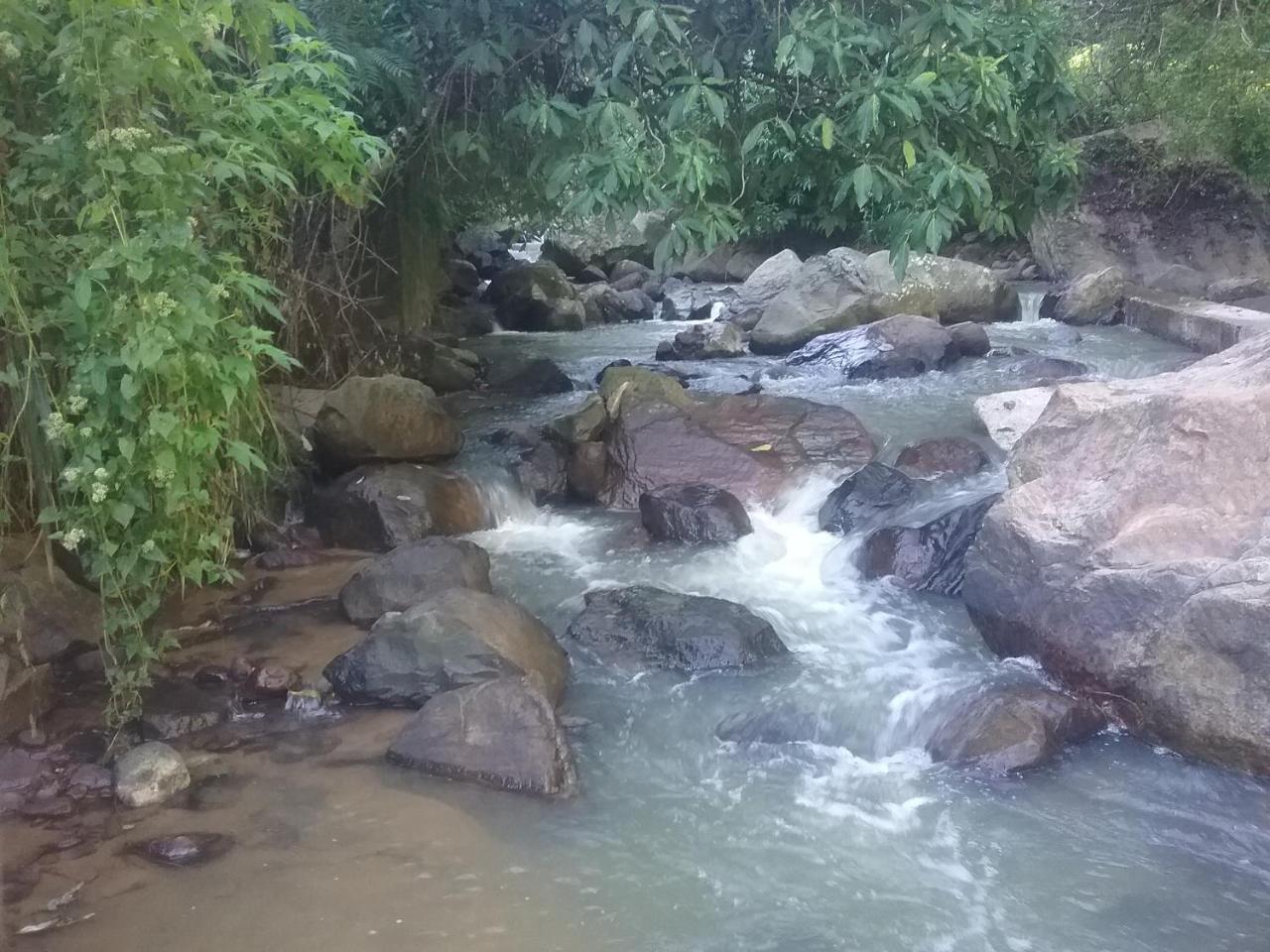 Jungle Face Inn Ella Luaran gambar