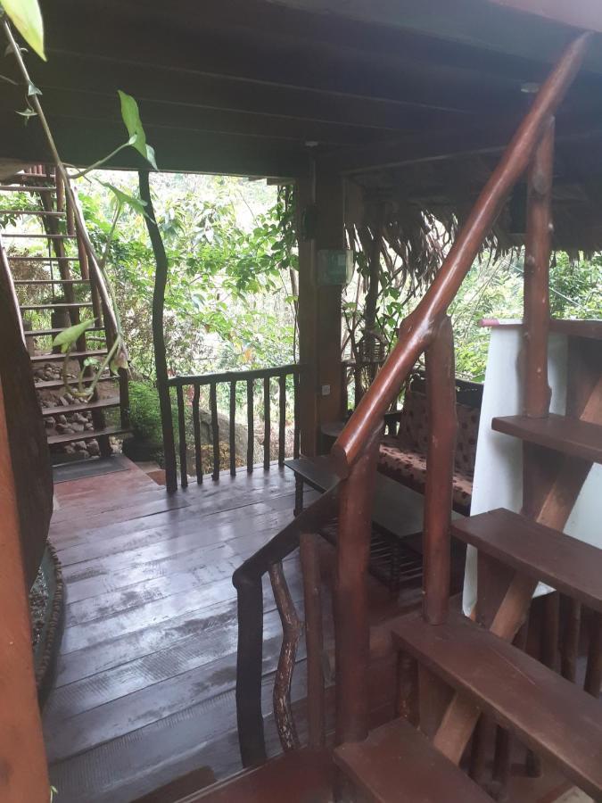 Jungle Face Inn Ella Luaran gambar