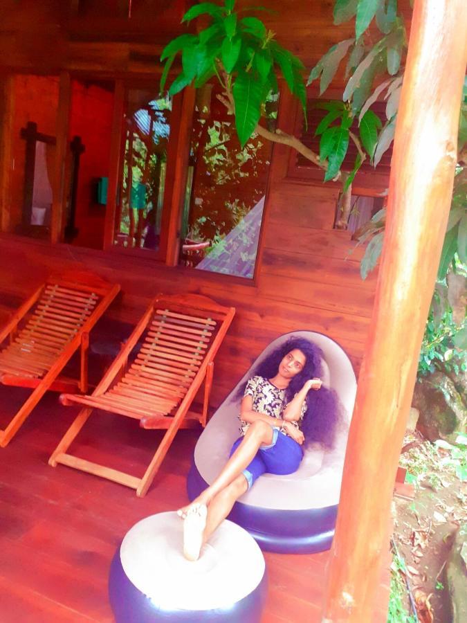Jungle Face Inn Ella Luaran gambar