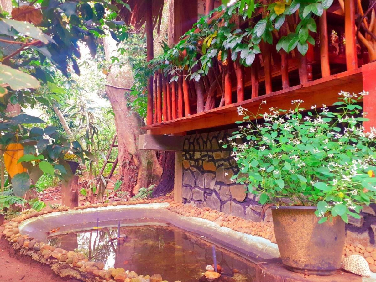 Jungle Face Inn Ella Luaran gambar